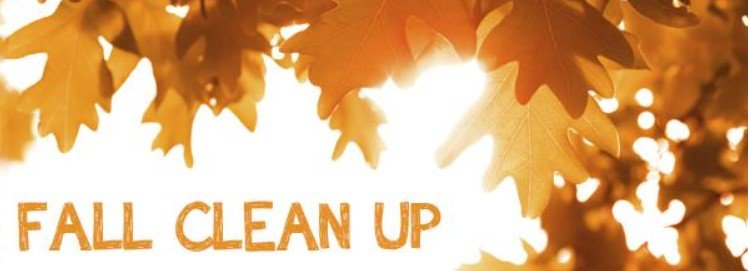 Fall clean up outlet